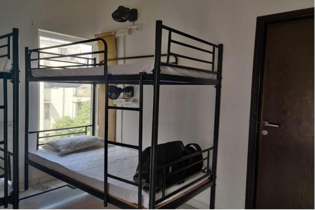Whiite Panda - Backpacker In Delhi Greater Kailash 3*
